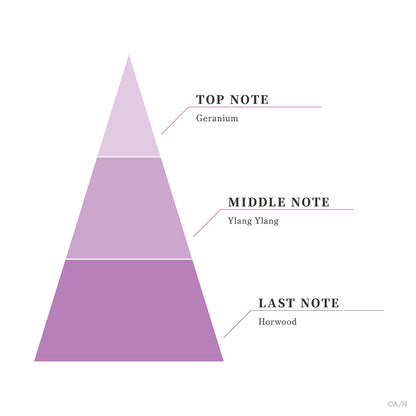 “Luxiem 2周年纪念” 香水盒