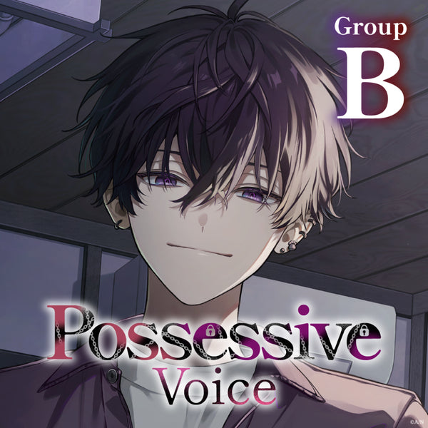 "Possessive Voice" - Group B