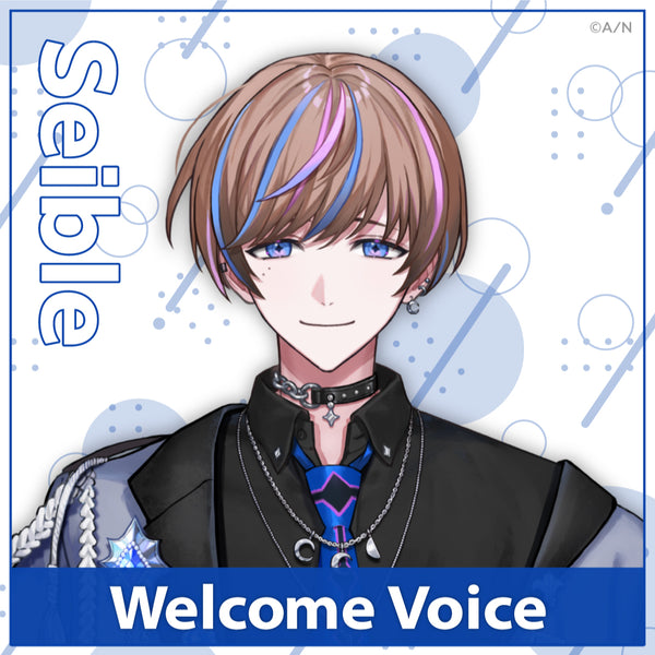 【Welcome 音声】Seible