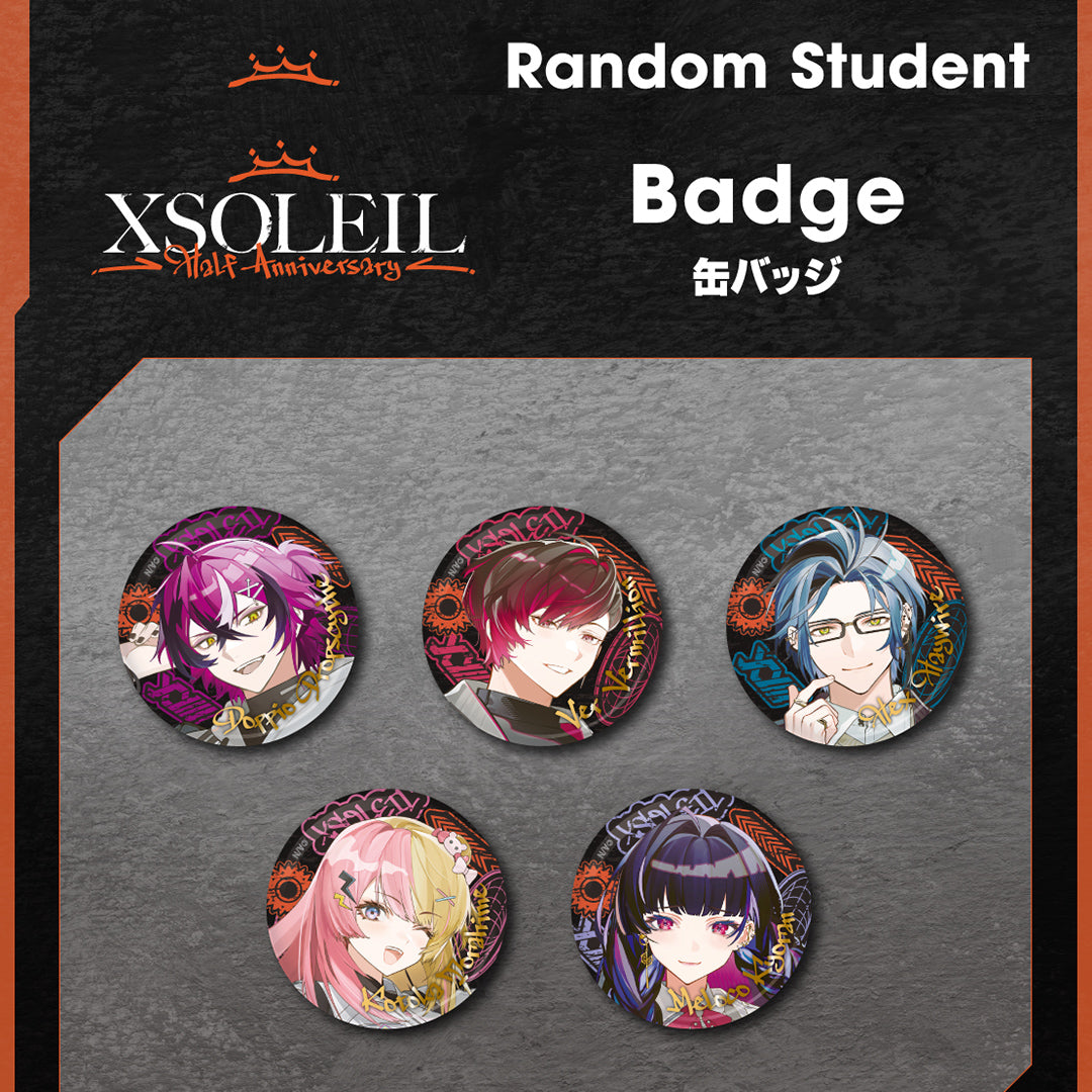 "XSOLEIL Half Anniversary" Badge