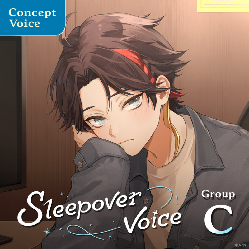 "Sleepover Voice" - Group C